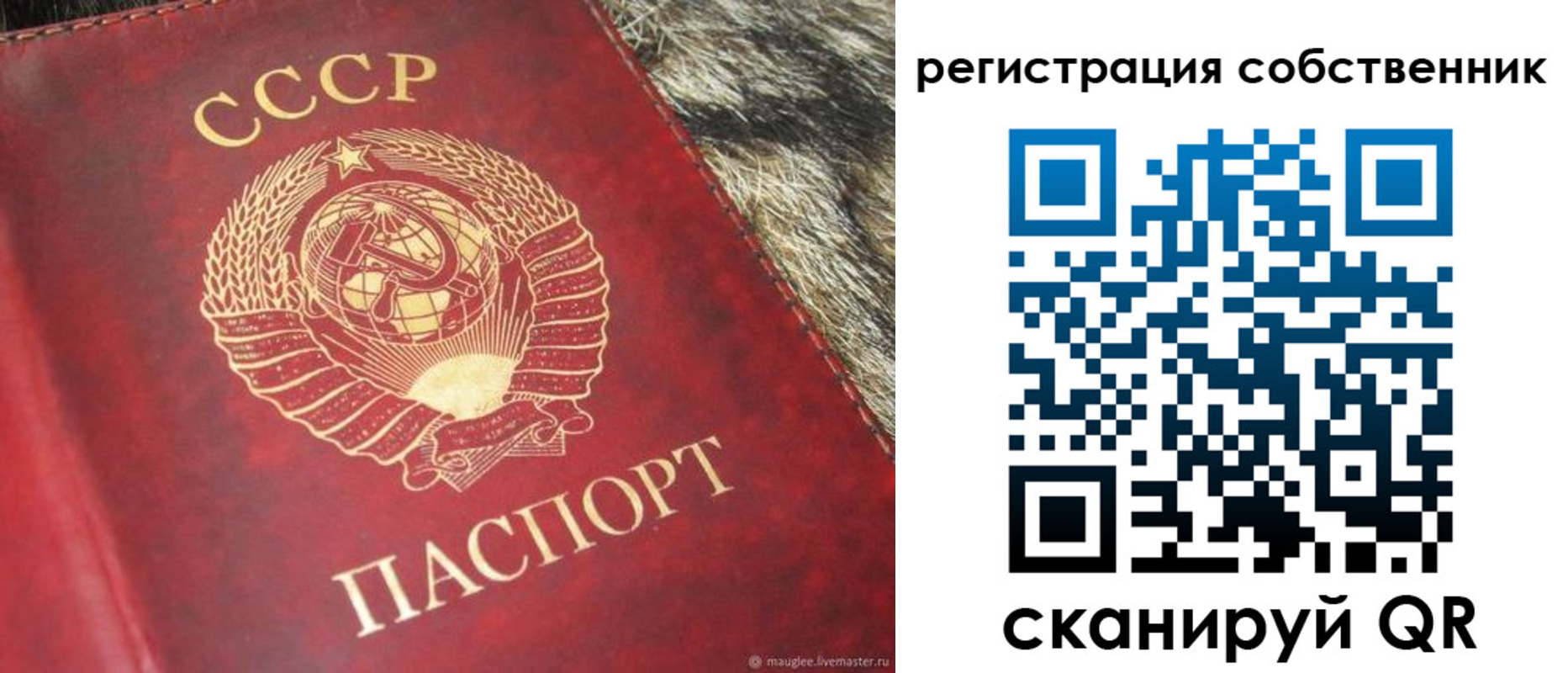 временная регистрация надежно в Ковдоре